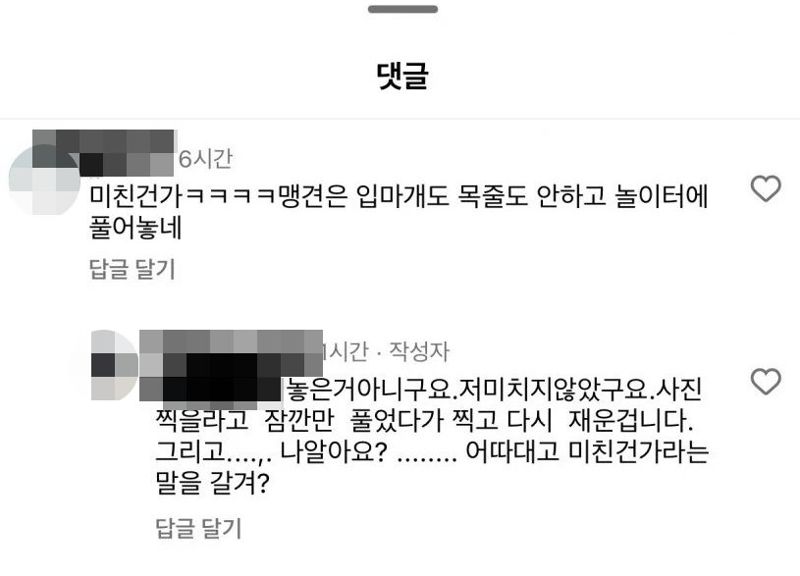 누리꾼과 설전을 벌이는 견주 A씨 /사진=인스타그램 캡처,동아일보