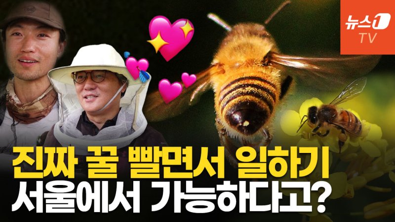 [영상] 꿀도 따고, 돈도 버는 도시양봉 'A to Z' 알고 싶다면?