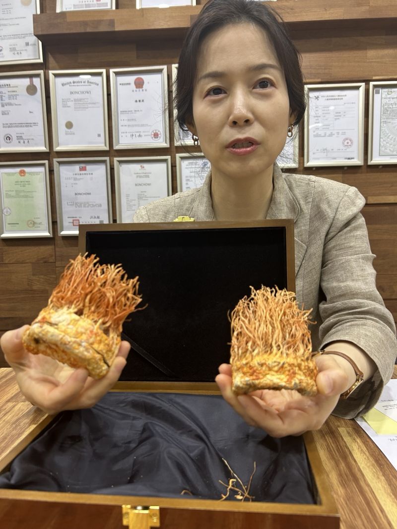 김효정 바이오아라 대표가 구로구 본사에서 동충하초에 대해 설명하고 있다. 사진=강재웅 기자