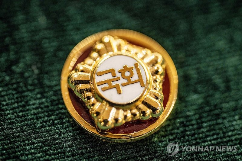 제22대 국회의원 배지 (출처=연합뉴스)