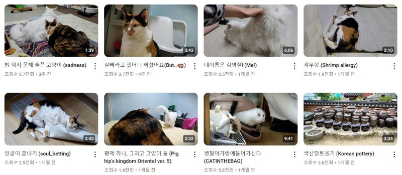 [서울=뉴시스] 김가인의 반려묘 '점프'와 '병철'의 영상을 올리는 채널 '돼지방뎅이왕국' (사진=돼지방뎅이왕국 유튜브 채널) 2024.06.20. photo@newsis.com *재판매 및 DB 금지