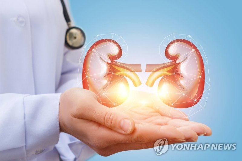 고령일수록 콩팥병 위험..만성질환 예방이 필수