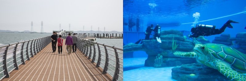 새로운 해양레저 중심 ‘시흥 거북섬 마리나 브리지’(경기관광공사 제공)/