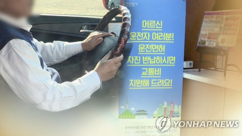 고령 운전자, 사고 13% 더 냈다…피해자의 중상 비율도 높아