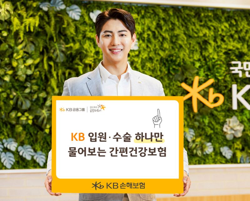 KB손보, 'KB 입원·수술 하나만 물어보는 간편건강보험' 출시..선택권 확대