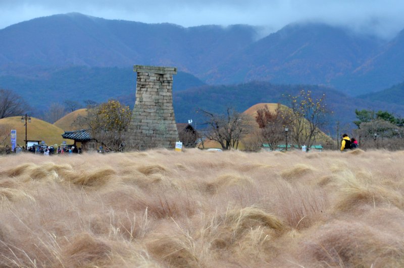 경북 경주시 첨성대 / 사진=뉴스1