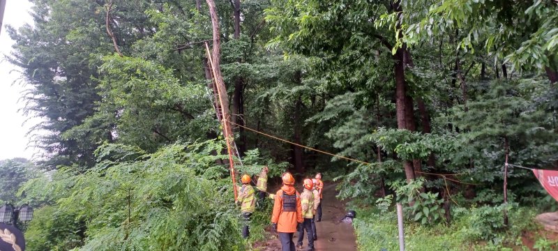 8일 오후 세종시 연서면 한 요양원을 덮치려는 소나무를 소방 관계자들이 로프를 이용해 안전조치를 하고 있다. (세종소방본부 제공) / 뉴스1