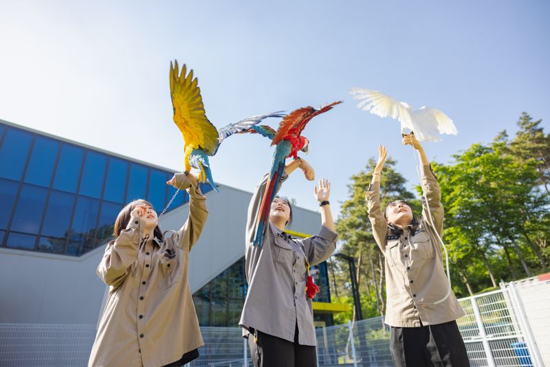 대경대학교가 동물사육복지과를 시작으로 전공동아리와 함께 하는 대규모 진로체험 캠프를 개최한다. 대경대학교 제공