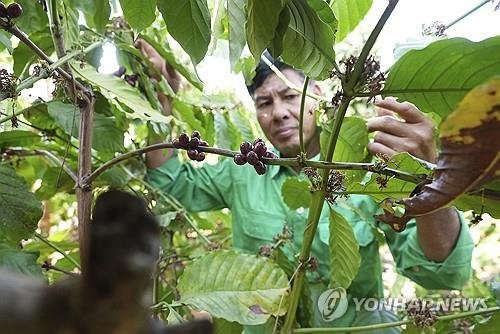 [AP 연합뉴스 자료사진, 재판매 및 DB 금지] /사진=연합뉴스