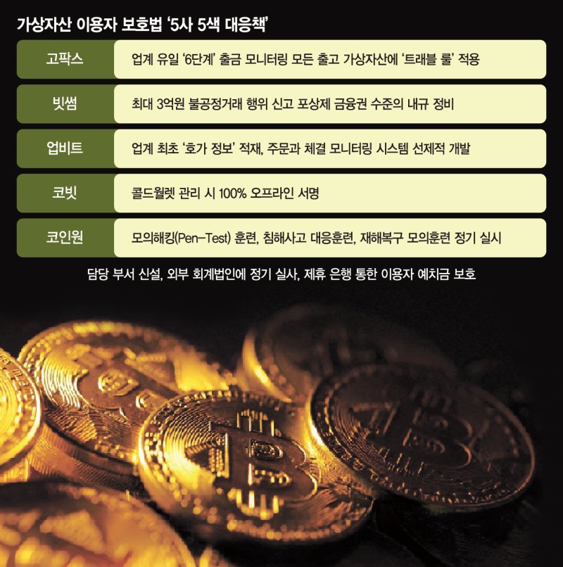 "해킹 막고 작전세력 거른다" 철옹성 쌓는 5대 코인 거래소 [제도권 편입되는 가상자산]