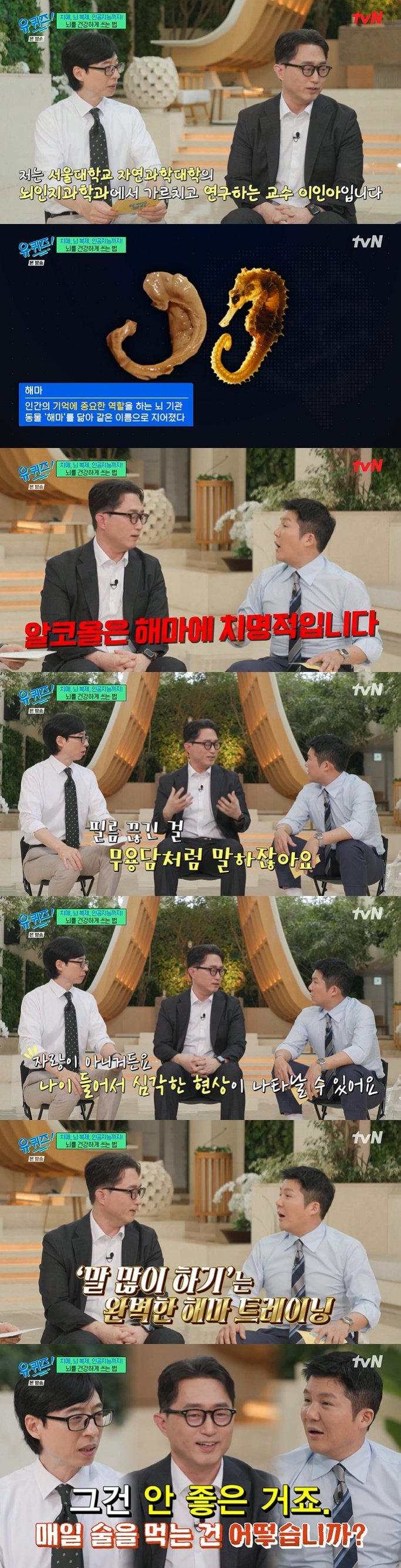 조세호, 술은 치명적 해마 연구 권위자 경고에 '깜짝' [RE:TV]