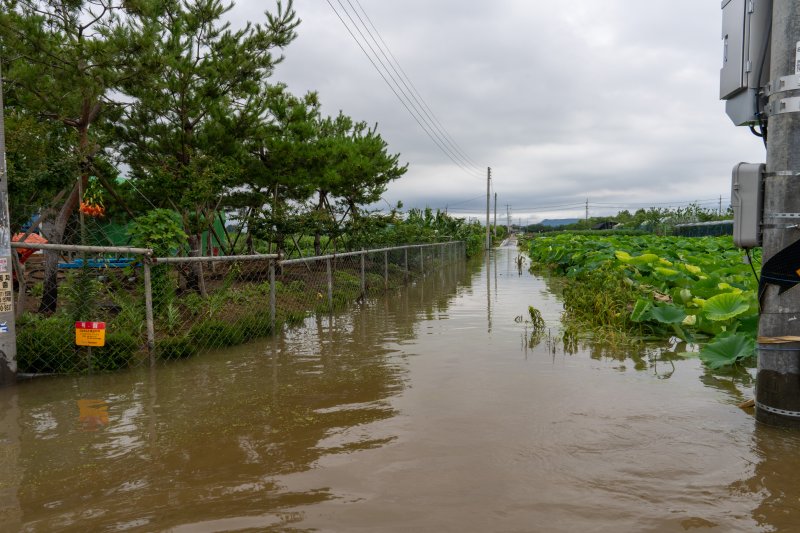 [대구=뉴시스] 김정화 기자 = 폭우로 금호강의 수위가 높아진 10일 오후 대구시 동구 금강동의 한 마을 입구가 물에 잠겼다. 2024.07.10. jungk@newsis.com