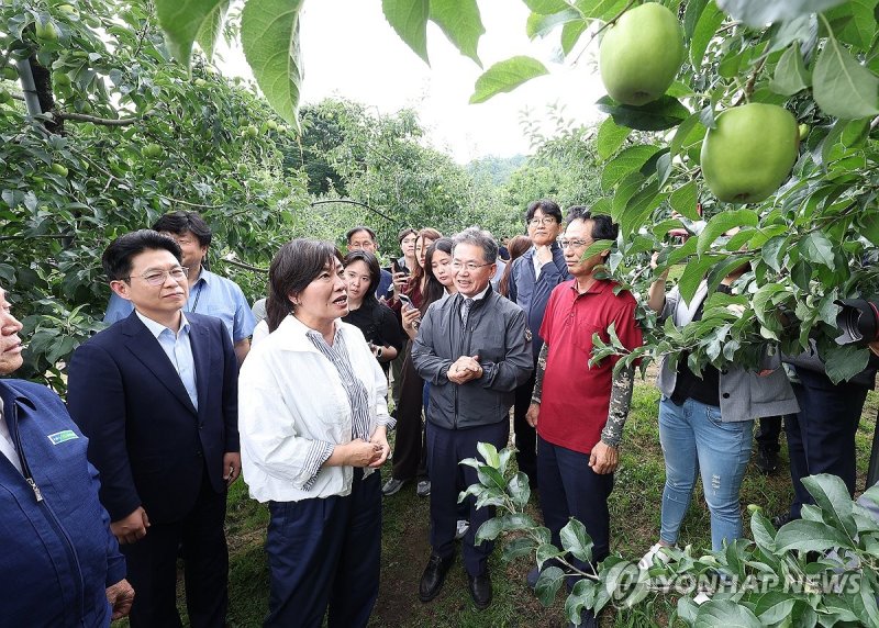 농식품부장관, 사과 생육상황 점검 농식품부장관, 사과 생육상황 점검 (대구=연합뉴스) 윤관식 기자 = 송미령 농림축산식품부 장관(왼쪽 두 번째)이 11일 대구 군위군 부계면 동산리 사과 농장을 찾아 홍로 품종 사과의 생육 상황을 점검하고 있다. 2024.7.11 psik@yna.co.kr (끝)