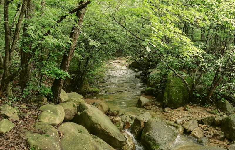 전남 강진군이 여름 휴가철을 맞아 지역 명소인 월출산 국립공원 경포대 계곡<사진>을 오는 8월 18일까지 한시적으로 개방한다. 강진군 제공