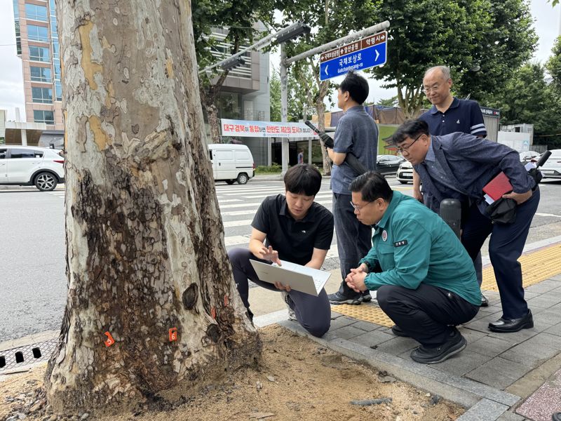 "가로수‧도시숲 체계적 관리"...‘도시숲법’ 등 산림분야 시행령 개정