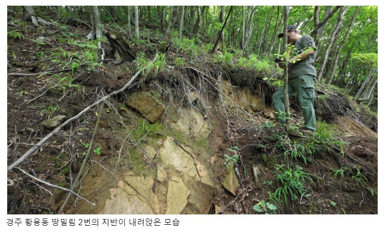 [세종=뉴시스] 경주 토함산 일대에서 진행되고 있는 땅밀림 모습. (사진=녹색연합). *재판매 및 DB 금지