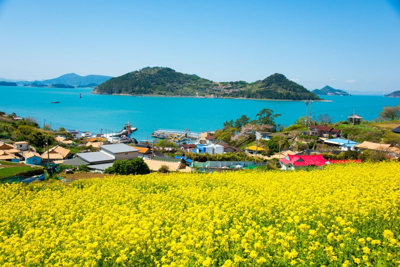 전남도, 행안부 섬 지역 특성화 사업 전국 최다 선정