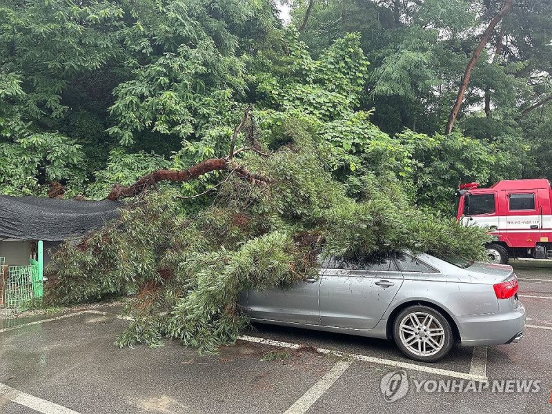 모레까지 극한호우 또 온다..춘천댐.의암댐 첫 방류