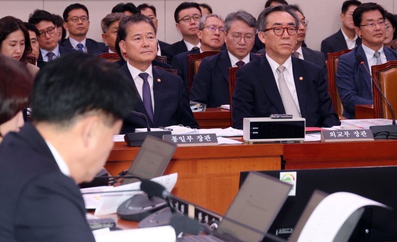 조태열 외교부 장관과 김영호(왼쪽) 통일부 장관이 17일 오후 서울 여의도 국회에서 열린 외교통일위원회 전체회의에서 의원들의 질의를 듣고 있다. 사진=뉴시스