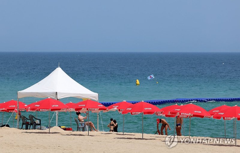 폭염·바가지에 바다 피서 '옛말'.. 미술관은 관람객 '북적'