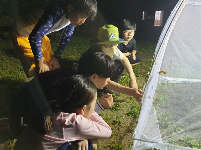 경기도 양평 산음자연휴양림의 밤곤충관찰 프로그램 진행 모습.