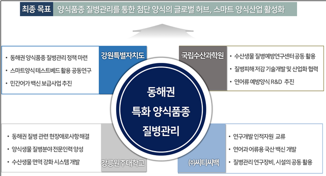 강원자치도 동해권 특화 양식품종 질병관리 계획도. 강원자치도 제공