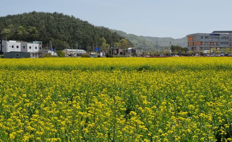 전남도 "경관보전직불제 신청하세요"