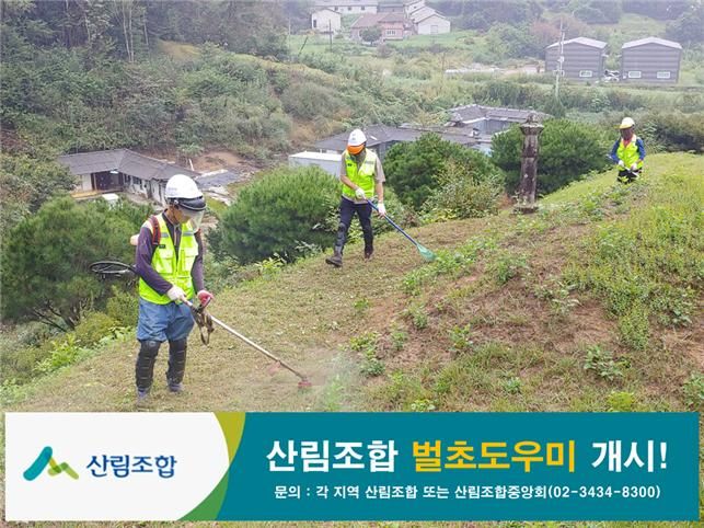 산림조합중앙회, 추석 앞 벌초도우미 서비스 개시