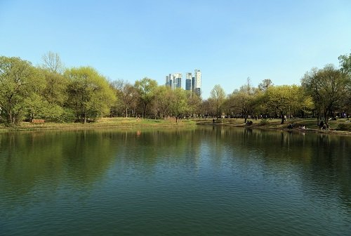 서울의 허파 서울숲, 대한민국 산업의 심장 성수동