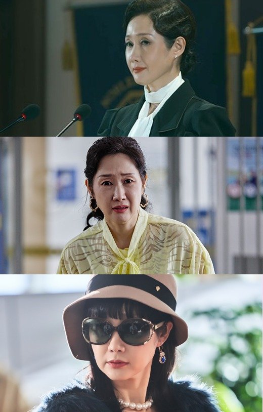 넷플릭스 '하이라키' 캡처, tvN, 삼화네트웍스, SLL