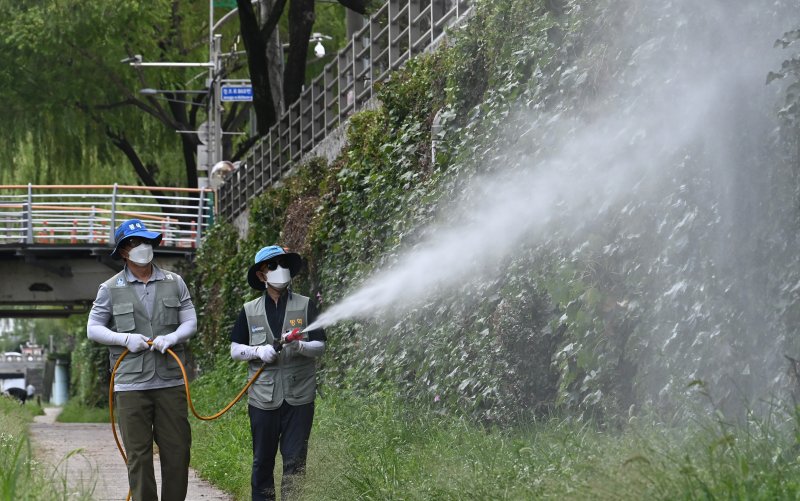 지난달 31일 경기도 수원시 팔달구 수원천에서 보건소 관계자들이 방역 작업을 하고 있다. 말라리아는 매개 모기 중 암컷 모기에 의해서 전파되며 감염되면 오한, 발열, 발한 등의 증상이 나타난다. 뉴시스