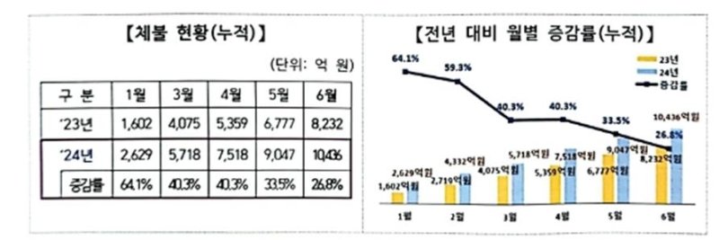 2024년 상반기 체불 현황 [고용노동부 제공]
