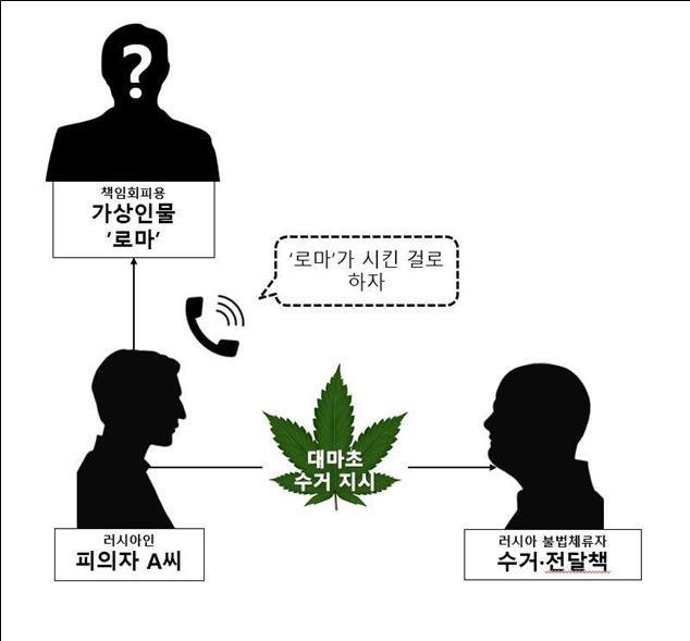 국제우편으로 대마초 713g 밀수 러시아인 덜미