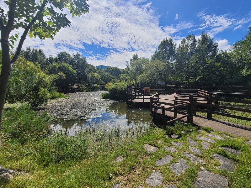 주민 참여형-충북 청주 원흥이생태공원 도시숲(산림청 제공)/뉴스1