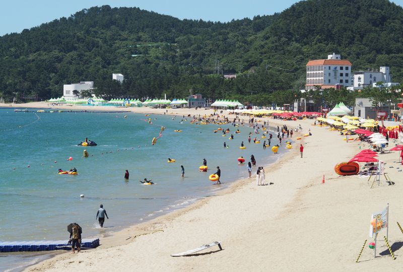 1일 울산 울주군 서생면 진하해수욕장이 한산한 모습을 보이고 있다. 여름 휴가철인 8월로 접어들었지만 한 달 가까이 냉수대가 형성되면서 피서객들의 발길이 뜸해졌다. 사진을 통해서도 바다에 들어간 사람을 헤아릴 수 있을 정도다. 사진=최수상 기자