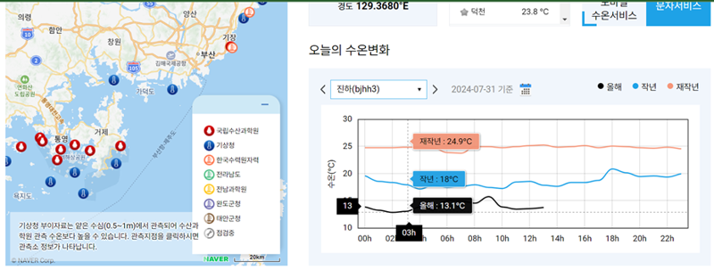 울산 진하해수욕장 앞바다 수온을 보여주는 기상청 날씨누리 바다날씨 정보. 검은색 그래프가 올해 7월 31일 측정된 바다 온도인데 13.1도를 가리키고 있다. 이는 지난해 12월 말 측정된 바다 수온과 거의 비슷한 수준이다.