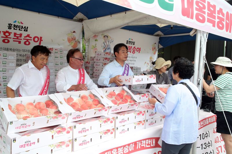 "12브릭스 고품질 홍천 복숭아, 고속도로서 구입하세요"