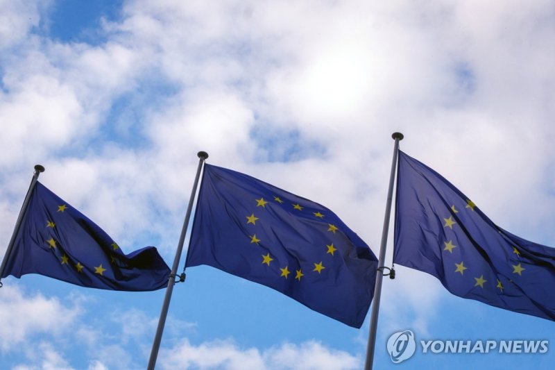'세계 최초' EU AI규제법 오늘 발효…전면 시행은 2년 뒤 - 파이낸셜뉴스