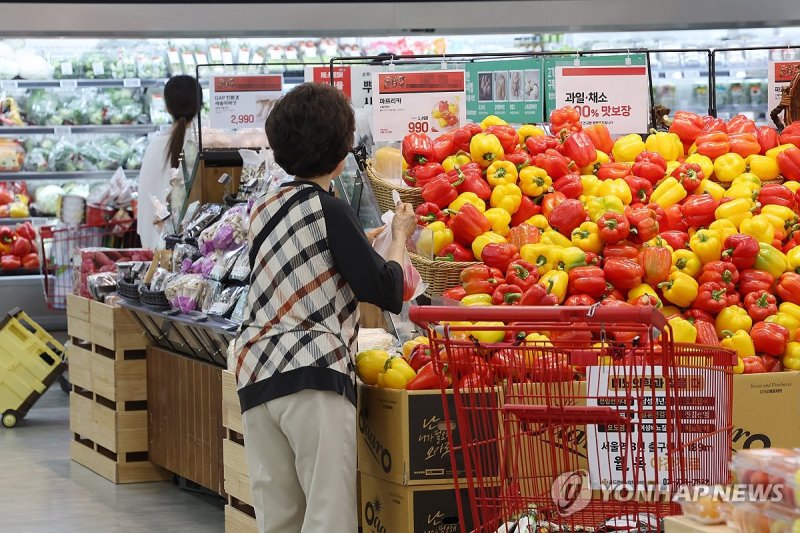 "고금리가 내수 다 죽인다"...경기 회복 '발목'