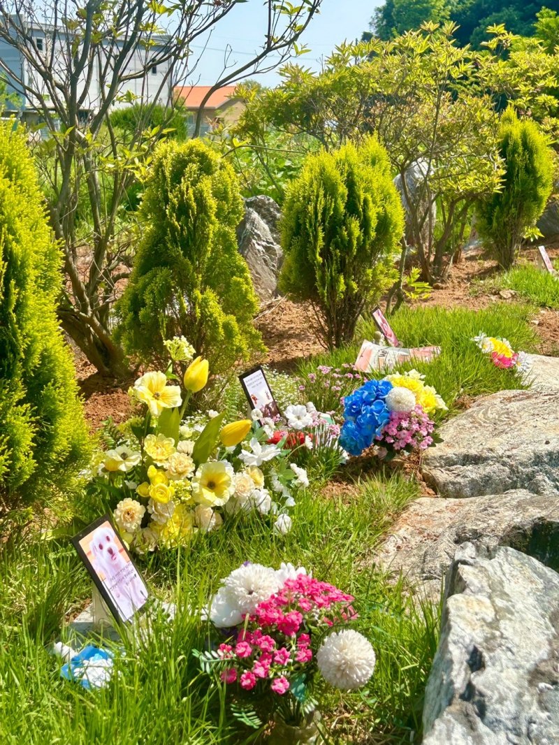 포이리스의 수목장