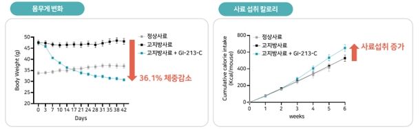 사진=지아이이노베이션