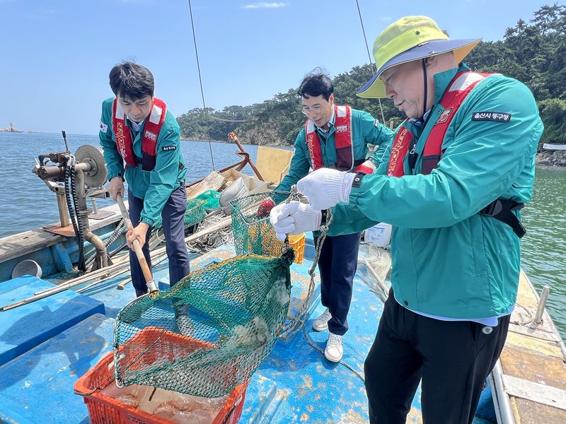 김종훈 울산 동구청장(사진 오른쪽)이 6일 울산 일산해수욕장 해상에서 강한 독성을 가진 노무라입깃해파리를 수거하고 있다. 울산 동구 제공