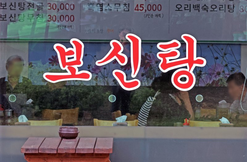 [단독]개고기 종식에 ‘예비비’ 834억 긴급 투입한다