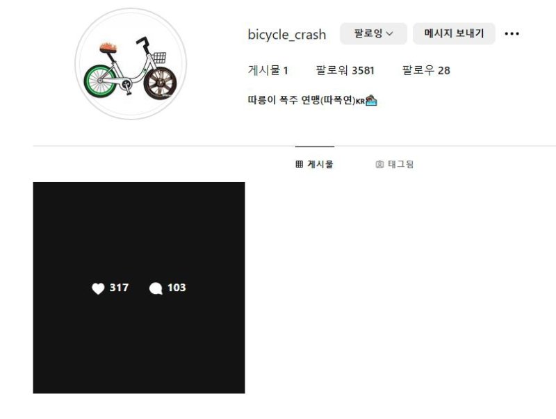 "옳지 않은 행동, 벌 받겠다"...'따폭연' 폭주영상 내리고 사과