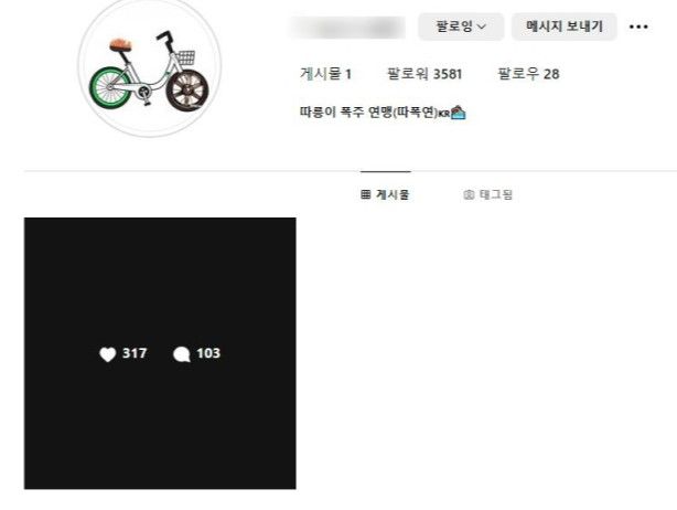 "옳지 않은 행동 사과…벌 받겠다" 따릉이 폭주족 연맹 사과