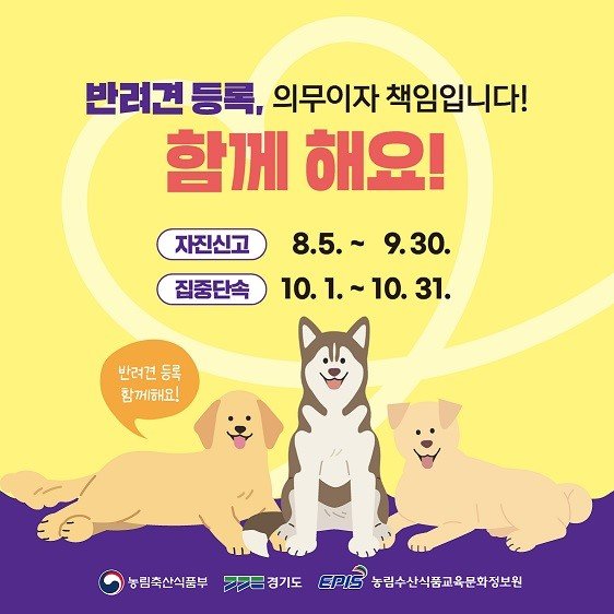 [파주=뉴시스] 9월까지 반려견 등록 자진 신고 기간 운영. (사진=파주시 제공) 2024.08.09 photo@newsis.com