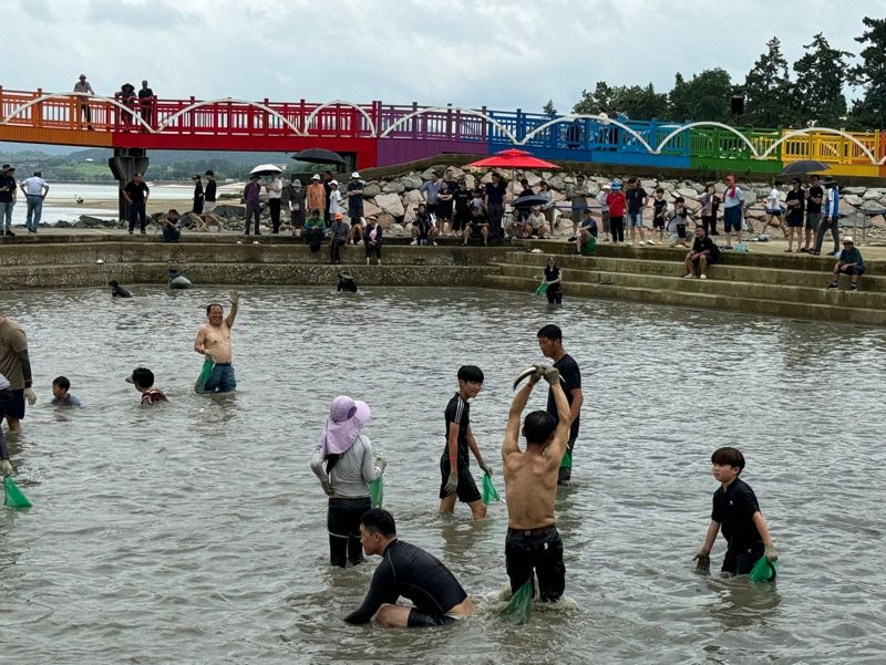 반려견과 여유로운 펫캉스가 가능한 함평 돌머리 해수욕장