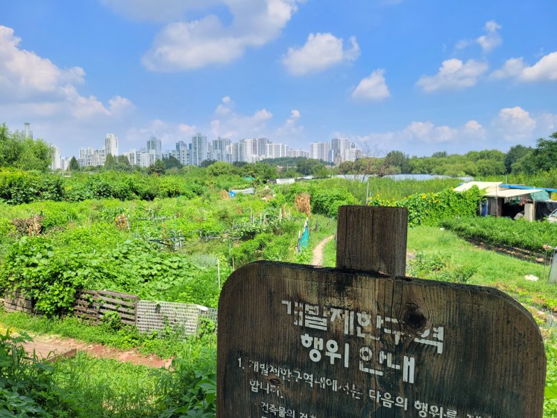 그린벨트 땅주인은 '덤덤'… 주변 빌라·재건축 단지는 '들썩' [현장르포]