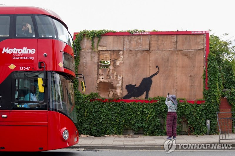 철거되기 전 고양이 그림 A person takes pictures of the new artwork of a cat, by the British artist Banksy, on Edgware Road, in London, Britain, August 10, 2024. REUTERS/Maja Smiejkowska