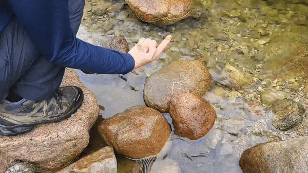 터널 공사로 돌가루 유입된 하천 [한국터널환경학회 제공. 재판매 및 DB 금지]